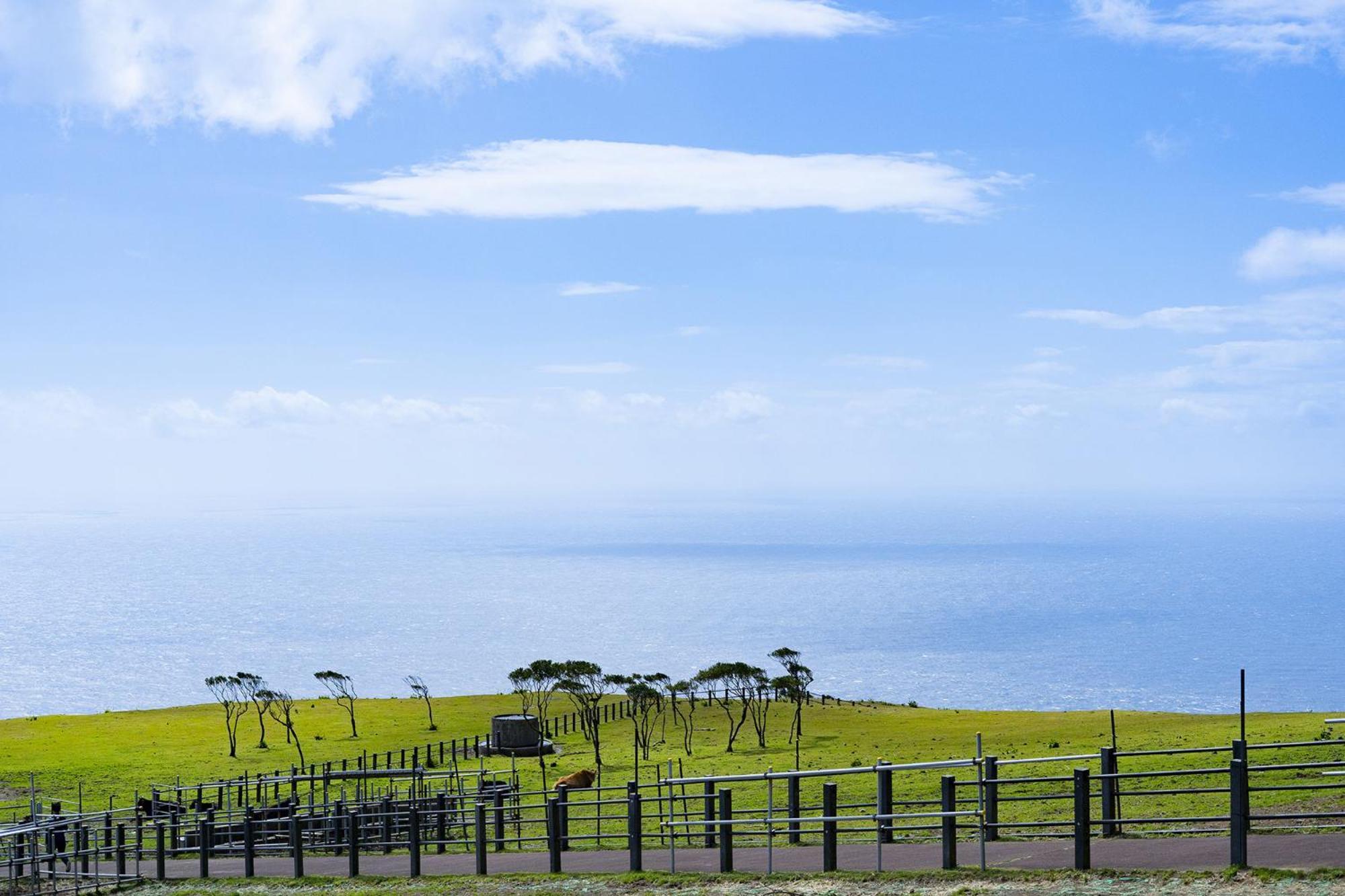 Villa Hachijyo-Island Blue Eight -八丈島ブルーエイト- à Mitsune Extérieur photo